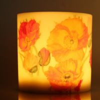 Windlicht-Blume-mit-Licht